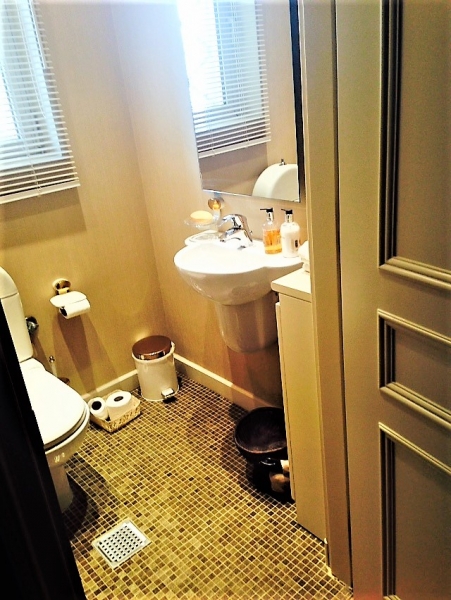 SubstandardFullSizeRender (22).jpg